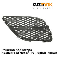 Решетка радиатора правая без молдинга черная Nissan Almera N16 (2002-2005) KUZOVIK